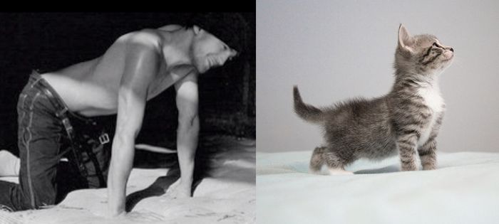 Hot Men And Their Feline Counterparts (67 pics)