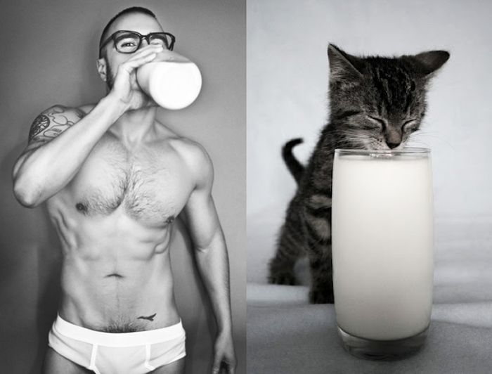 Hot Men And Their Feline Counterparts (67 pics)