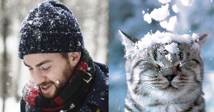 Hot Men And Their Feline Counterparts (67 pics)