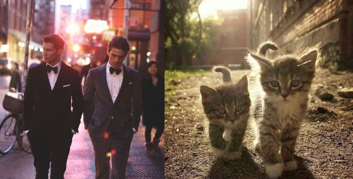 Hot Men And Their Feline Counterparts (67 pics)