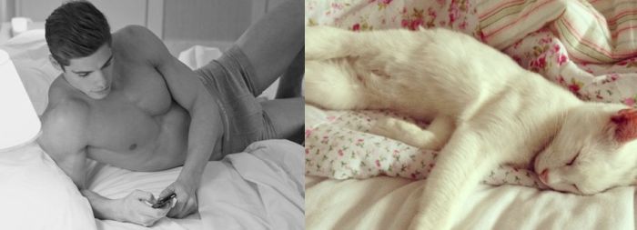 Hot Men And Their Feline Counterparts (67 pics)