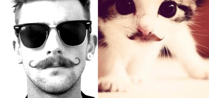 Hot Men And Their Feline Counterparts (67 pics)