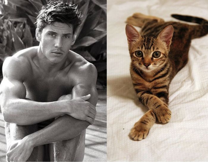 Hot Men And Their Feline Counterparts (67 pics)