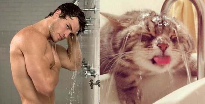 Hot Men And Their Feline Counterparts (67 pics)