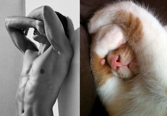 Hot Men And Their Feline Counterparts (67 pics)