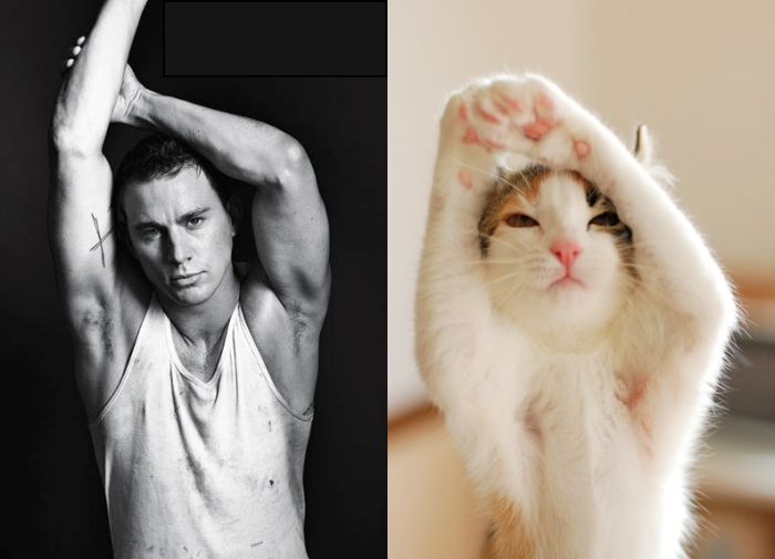 Hot Men And Their Feline Counterparts (67 pics)