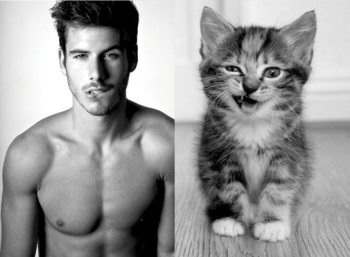 Hot Men And Their Feline Counterparts (67 pics)