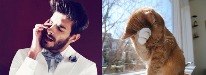 Hot Men And Their Feline Counterparts (67 pics)