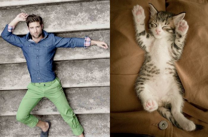 Hot Men And Their Feline Counterparts (67 pics)