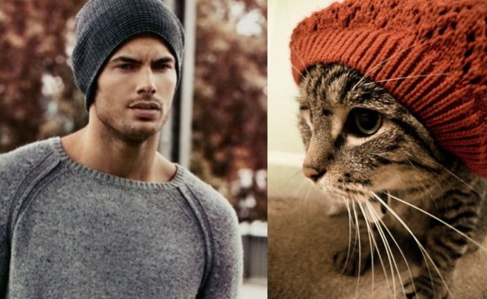 Hot Men And Their Feline Counterparts (67 pics)