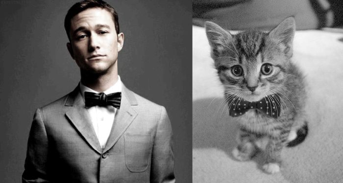 Hot Men And Their Feline Counterparts (67 pics)