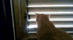 Acid Gifdump (25 gifs)