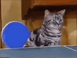 Acid Gifdump (25 gifs)
