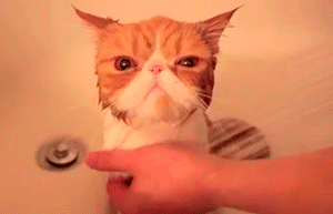 Acid Gifdump (25 gifs)