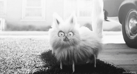 Acid Gifdump (25 gifs)