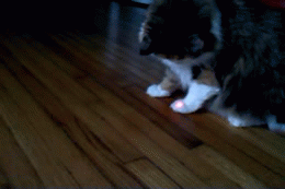 Acid Gifdump (25 gifs)