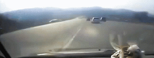 Acid Gifdump (25 gifs)