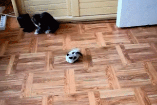 Acid Gifdump (25 gifs)