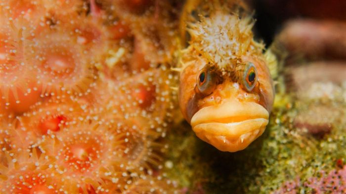 Animal Photos (39 pics)