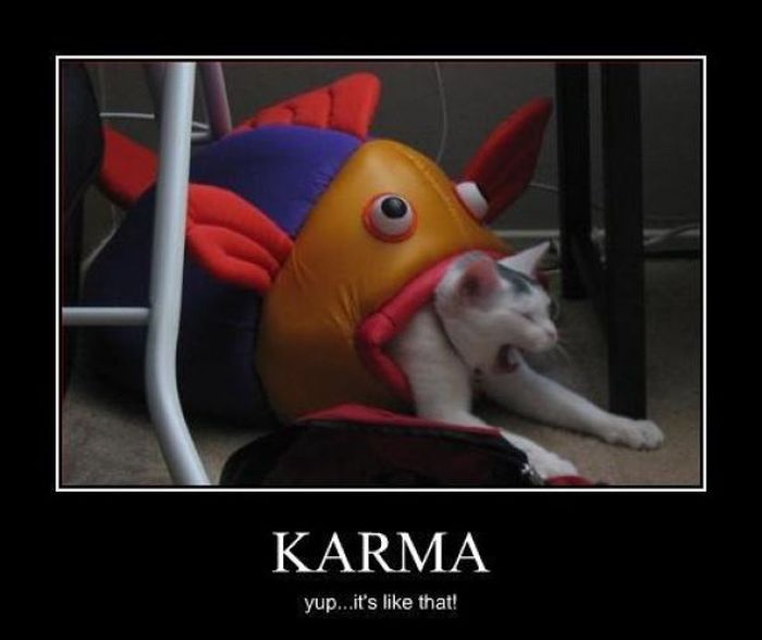 Karma Is a B*tch (49 pics)