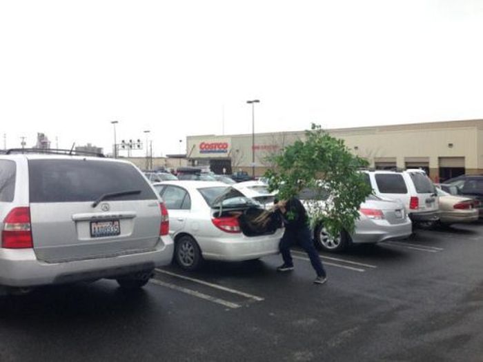 Stupid People (45 pics)