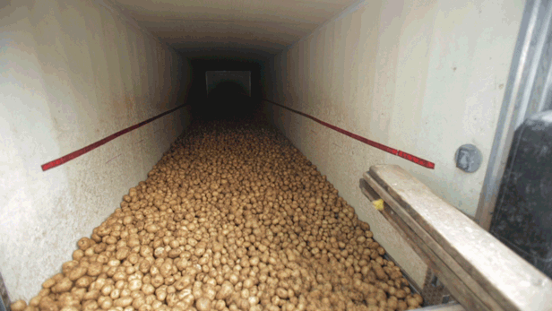 Production of Potato Chips (5 gifs)