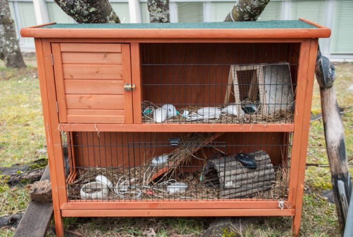CERN Animal Shelter for Computer Mice (7 pics)