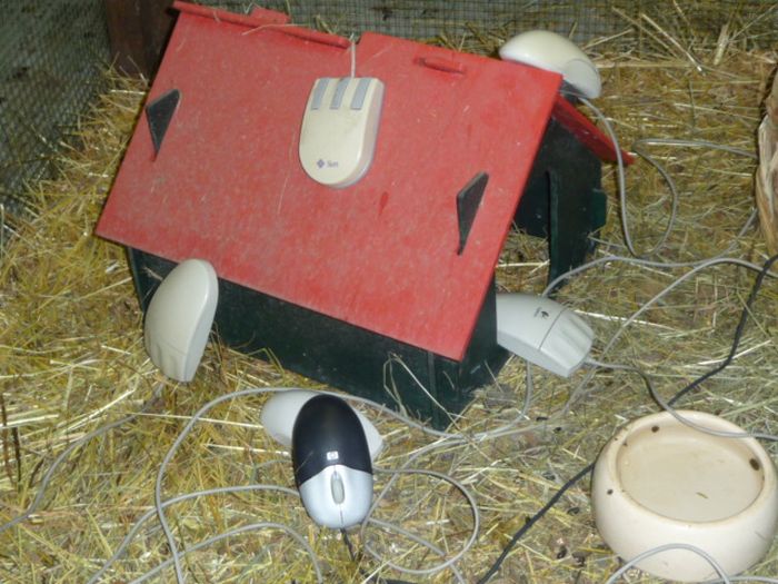 CERN Animal Shelter for Computer Mice (7 pics)