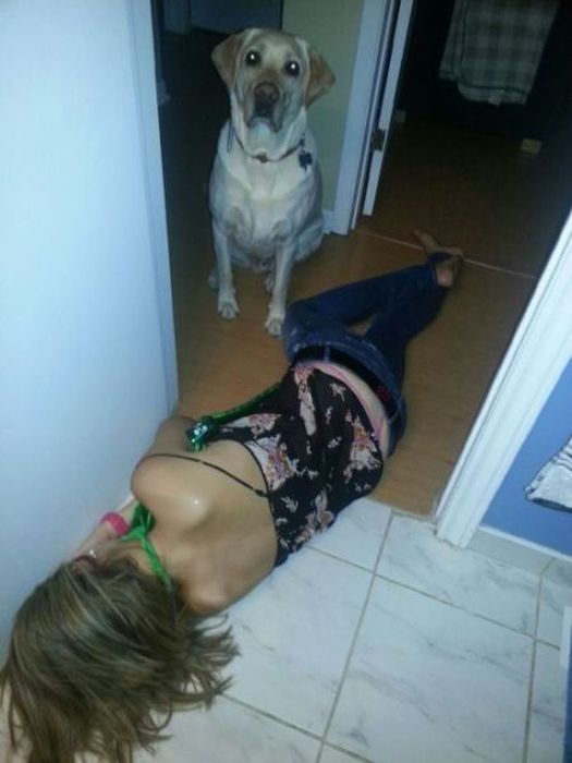 Drunk People. Part 6 (67 pics)