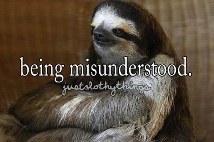 What It's Like to Be a Sloth (28 pics)