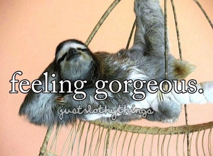 What It's Like to Be a Sloth (28 pics)