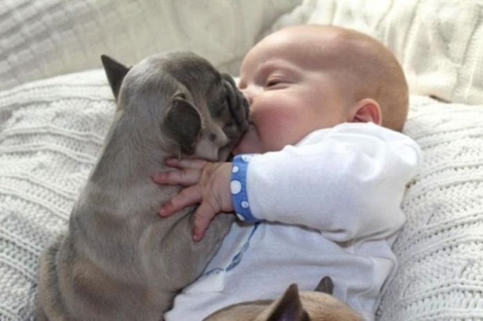 Baby with Bulldog Puppies (11 pics)