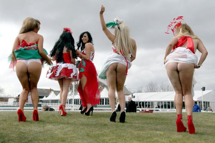 Aintree Grand National 2013 Ladies Day (40 pics)