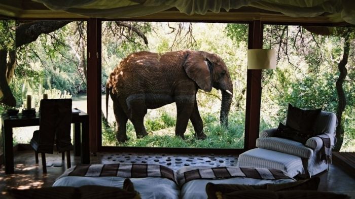 Welcome to Africa (30 pics)