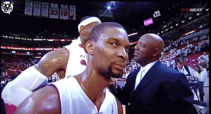 Videobombs (21 gifs)