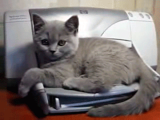 Acid Gifdump, April 16, 2013 (25 gifs)
