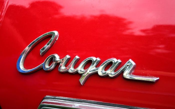 Retro Car Logos (159 pics)