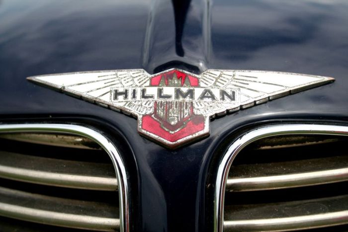 Retro Car Logos (159 pics)