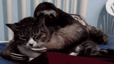 Acid Gifdump, April 18, 2013 (25 gifs)