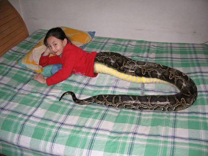 Amateur Photoshop Fails and Wins (52 pics)
