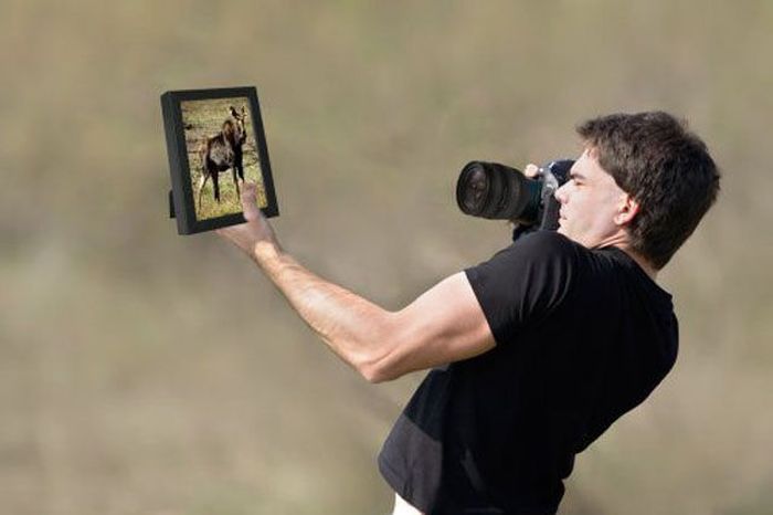 Amateur Photoshop Fails and Wins (52 pics)