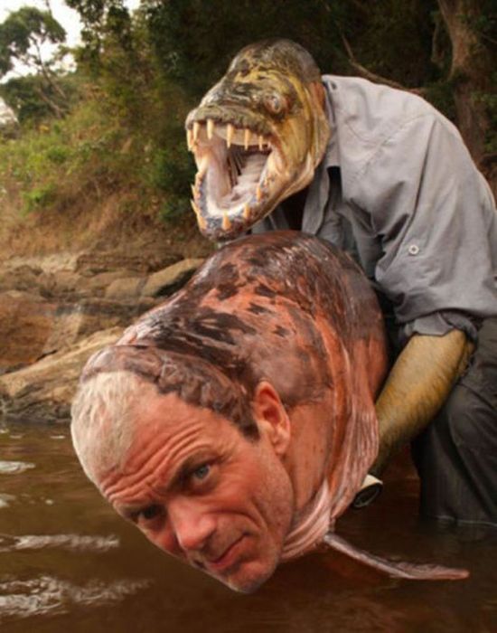 Amateur Photoshop Fails and Wins (52 pics)