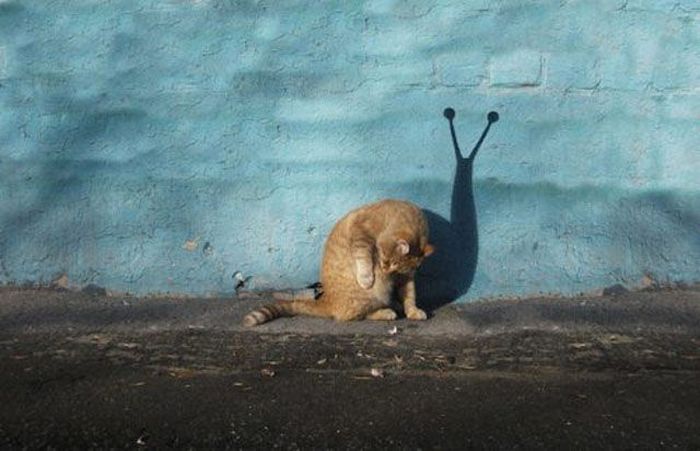Amateur Photoshop Fails and Wins (52 pics)