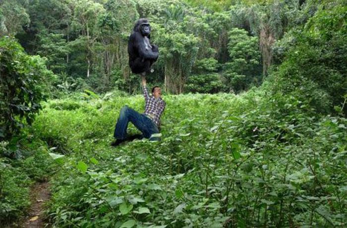 Amateur Photoshop Fails and Wins (52 pics)