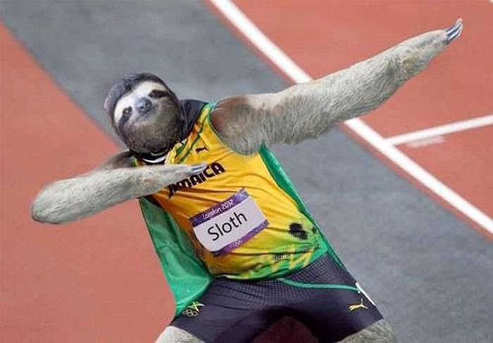Amateur Photoshop Fails and Wins (52 pics)