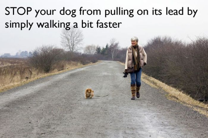 Life Hacks You Don't Want to Know (17 pics)