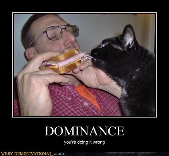 Funny Demotivational Posters (29 pics)