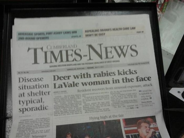 WTF Newspaper Headlines (21 pics)