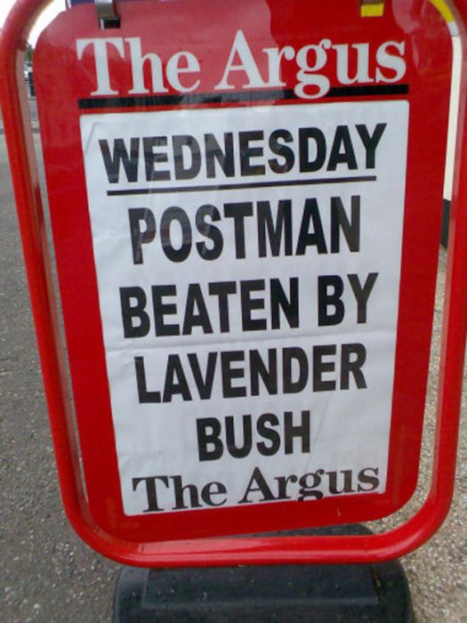 WTF Newspaper Headlines (21 pics)