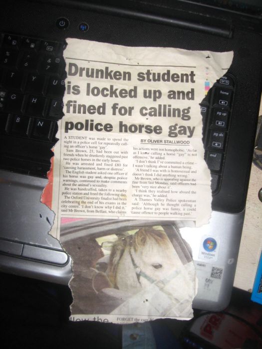 WTF Newspaper Headlines (21 pics)